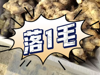 3月17日 安丘黑埠子（落1毛） (143播放)