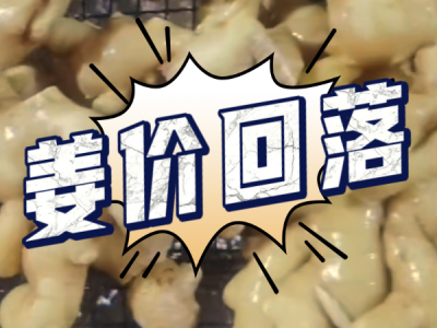 3月18日 生姜價格行情（姜價回落） (159播放)