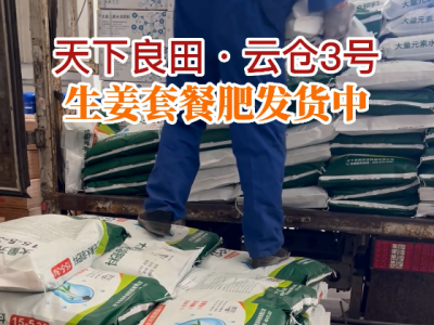 天下良田·云倉(cāng)3號(hào)生姜套餐肥發(fā)貨中... (258播放)