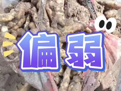 3月18日 安丘黑埠子（偏弱） (148播放)