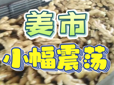3月21日 生姜價格行情（姜市小幅震蕩） (130播放)