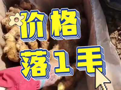 3月21日 安丘黑埠子（價(jià)格落1毛） (143播放)
