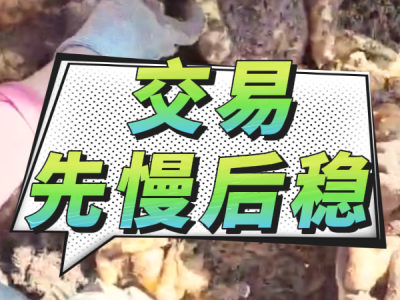 3月22日 安丘黑埠子（交易先慢后穩） (124播放)