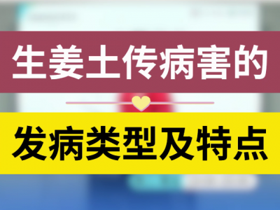 生姜土傳病害的發病類型及特點 (128播放)