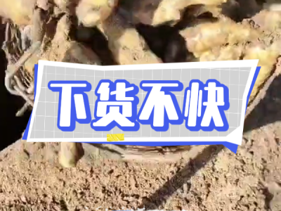 3月26日 安丘黑埠子（下貨不快） (145播放)