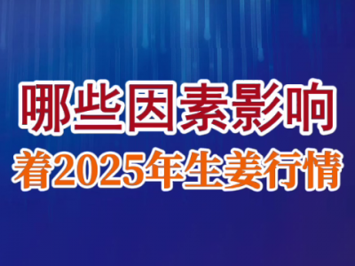 老石說姜：哪些因素影響著2025年生姜行情？ (121播放)