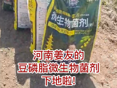 河南姜友的豆磷脂微生物菌劑下地啦！ (95播放)