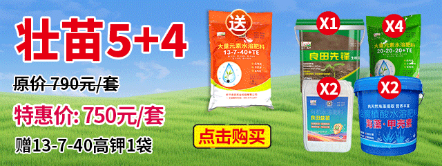 壯苗5+4