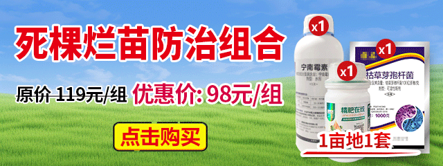 死棵爛苗防治組合