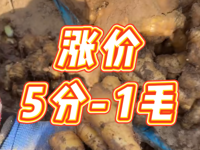 4月1日 安丘黑埠子（漲價(jià)5分-1毛） (115播放)