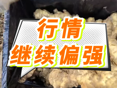 4月2日 安丘黑埠子（行情繼續偏強） (123播放)