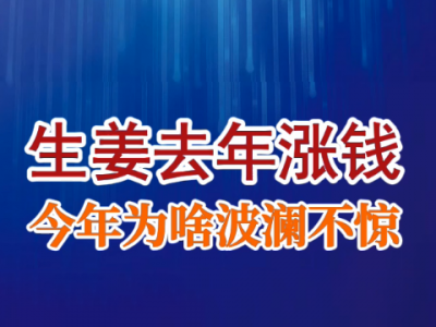 老石說姜：生姜去年漲錢 今年為啥波瀾不驚？ (114播放)