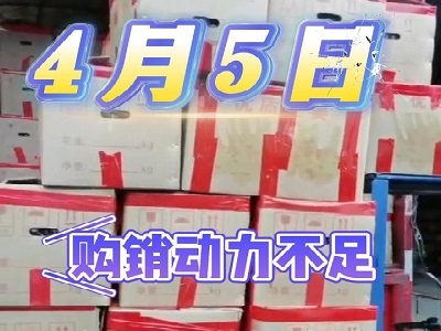 4月5日廣州江南批發市場價格行情 (105播放)