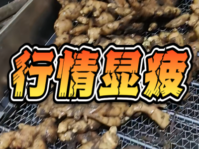 4月8日 生姜價格行情（行情顯疲） (111播放)