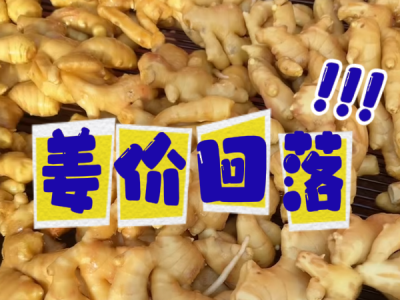 4月9日 生姜價格行情（姜價回落） (96播放)