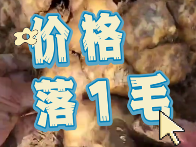 4月9日 安丘黑埠子（價格落1毛） (99播放)