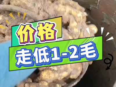 4月10日 安丘黑埠子（價(jià)格走低1-2毛） (114播放)