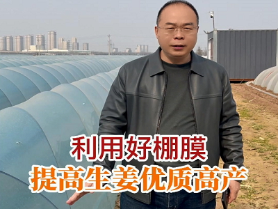 利用好棚膜 提高生姜優質高產 (65播放)