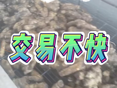 4月14日 生姜價格行情（交易不快） (82播放)