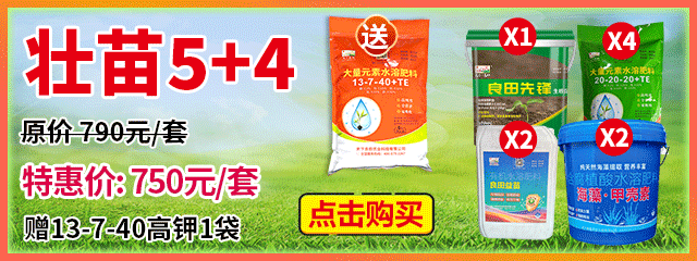 壯苗5+4