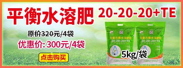 平衡水溶肥20-20-20+TE