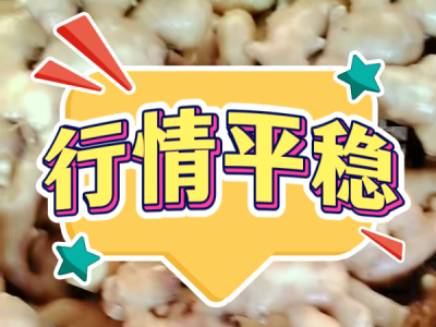 4月15日 生姜價格行情（行情平穩） (73播放)