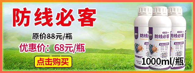 防線必客