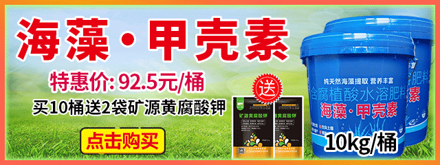 甲殼素