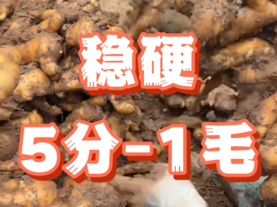 4月17日 安丘黑埠子（穩(wěn)硬5分-1毛） (61播放)