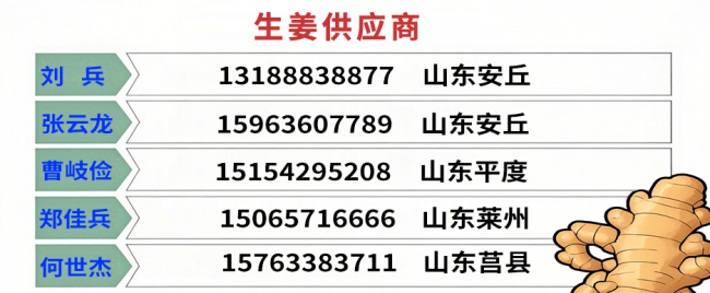 生姜供應商