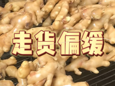 4月19日 生姜價格行情（走貨偏緩） (86播放)