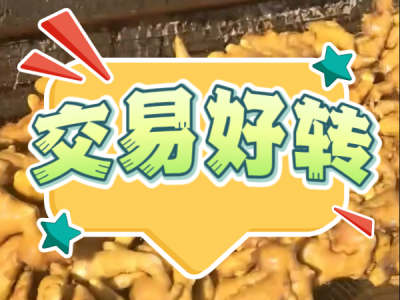 4月22日 生姜價格行情（交易好轉） (83播放)