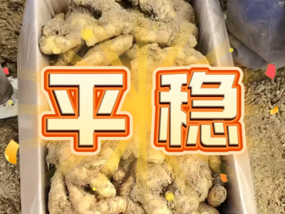 4月22日 安丘黑埠子（平穩） (62播放)
