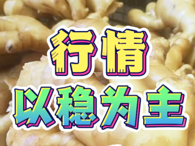 4月28日 生姜價格行情（行情以穩為主） (58播放)