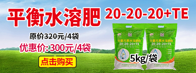 平衡水溶肥20-20-20+TE