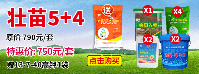 壯苗5+4