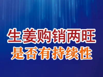老石說姜：生姜購銷兩旺是否有持續性？