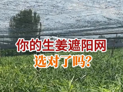 你的生姜遮陽網選對了嗎？ (50播放)
