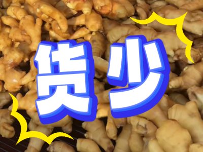 5月10日 生姜價格行情（貨少） (54播放)