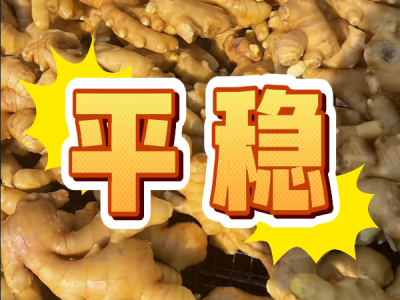 5月12日 生姜價格行情（平穩） (48播放)