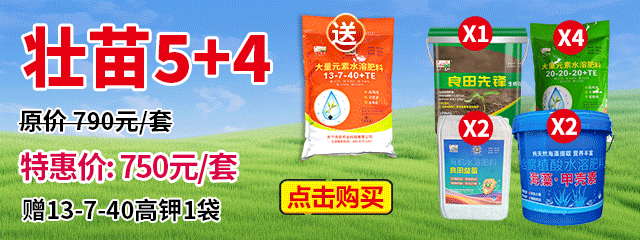 壯苗5+4