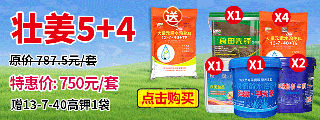 壯姜5+4