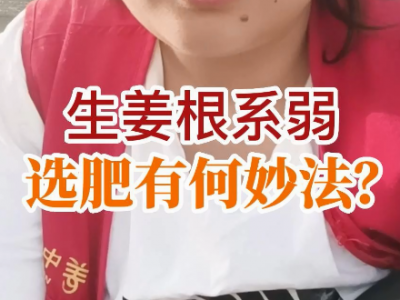 生姜根系弱 選肥有何妙法？ (55播放)