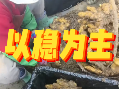 5月13日 安丘黑埠子（以穩為主） (39播放)