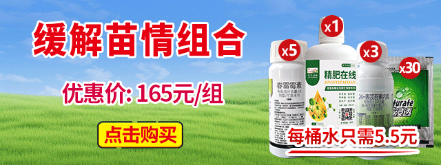 緩解苗情組合
