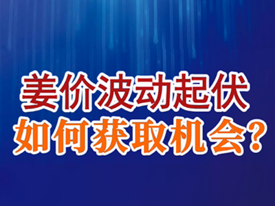 老石說姜：姜價波動起伏，如何獲取機會？ (47播放)