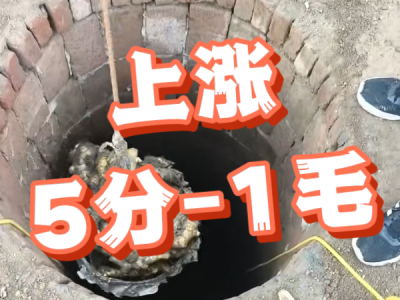 5月14日 安丘黑埠子（上漲5分-1毛） (40播放)