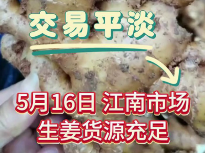 5月16日廣州江南批發(fā)市場(chǎng)價(jià)格行情 (56播放)