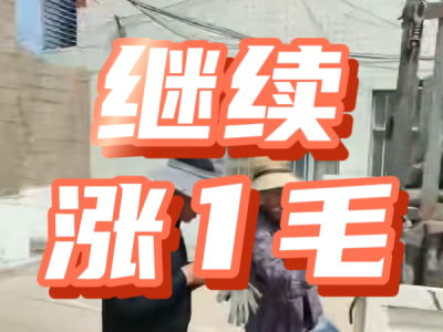5月16日 安丘黑埠子（價格漲1毛） (46播放)