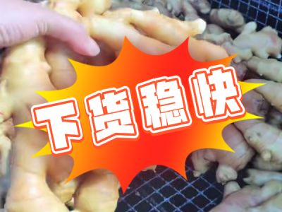 5月16日 生姜價(jià)格行情（下貨穩(wěn)快） (41播放)